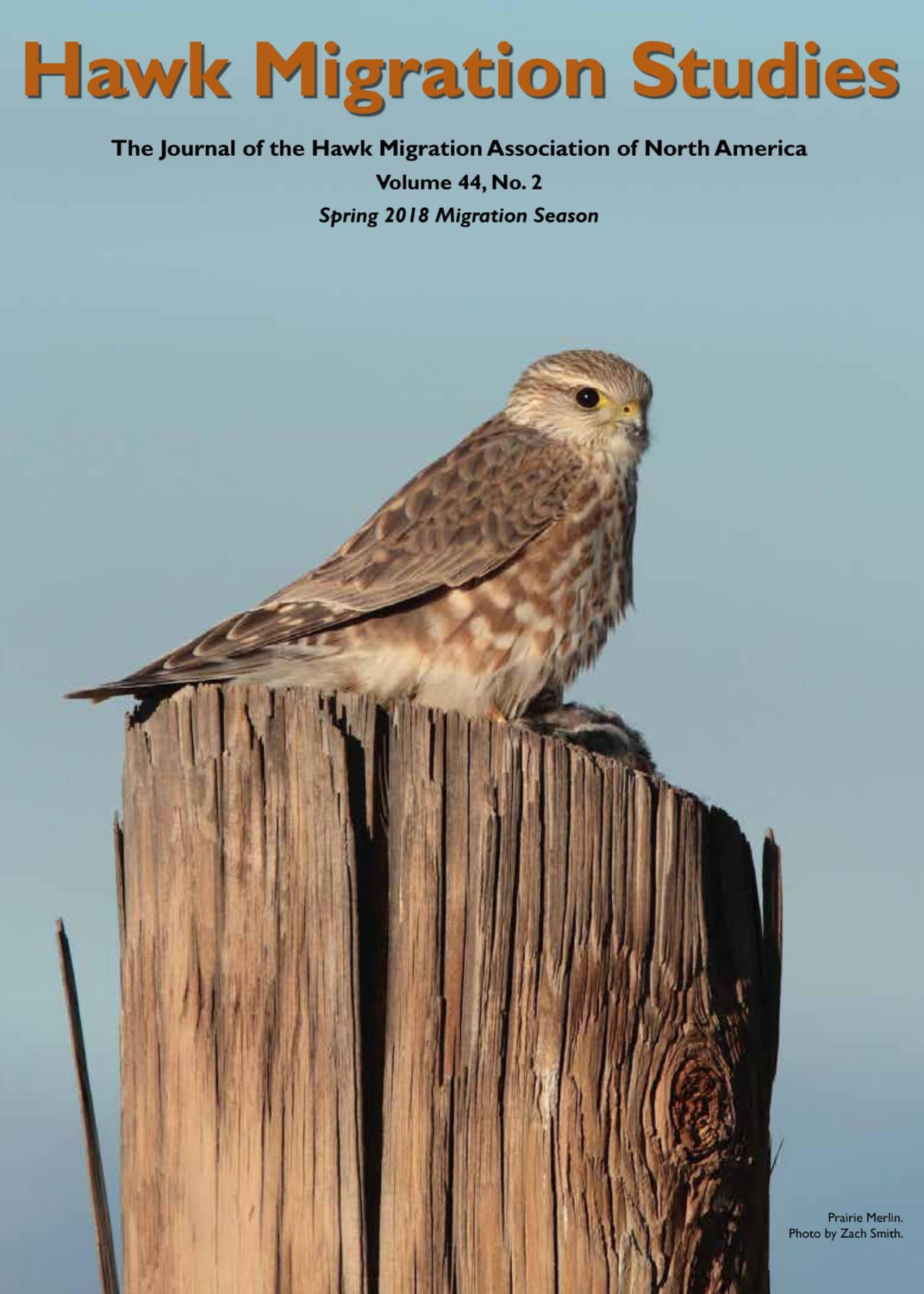 Hawk Migration Studies – Hawk Migration Association of North America