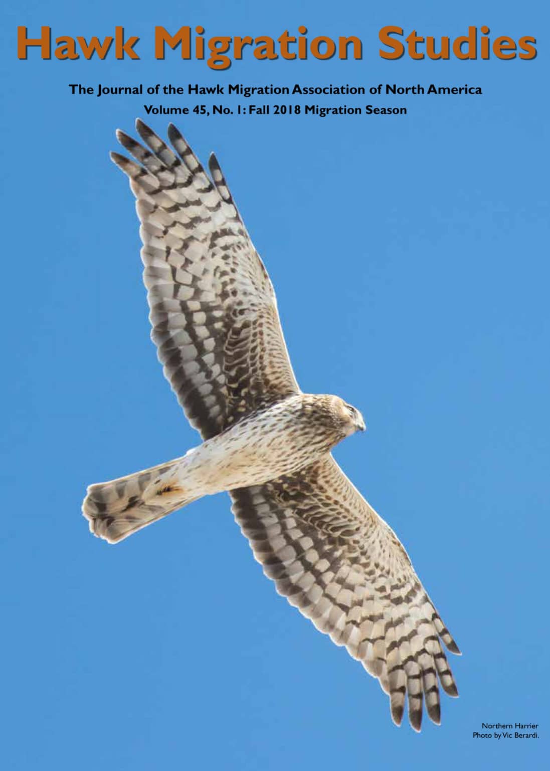 Hawk Migration Studies – Hawk Migration Association of North America