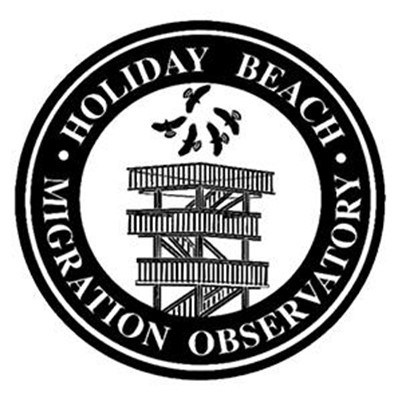 Holiday Beach Migration Observatory - TODAY! MEET Bob Pettit